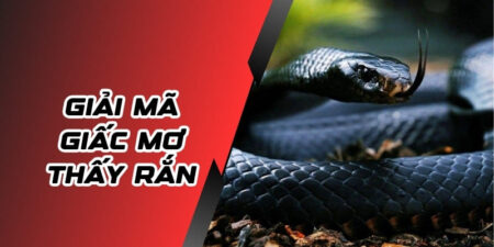 Giải Mã Giấc Mơ Thấy Rắn