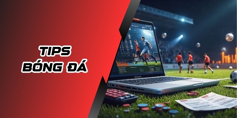 Tips Bóng Đá Là Gì? Bí Quyết Thắng Kèo Cho Ai Kiên Nhẫn